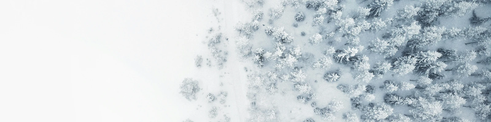 December 2025 Update