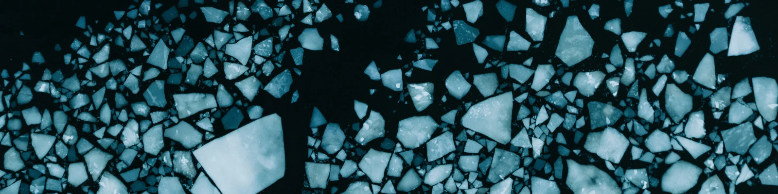 February 2026 Update