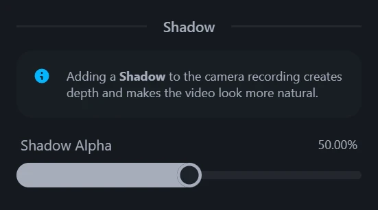 Camera recording shadow controls